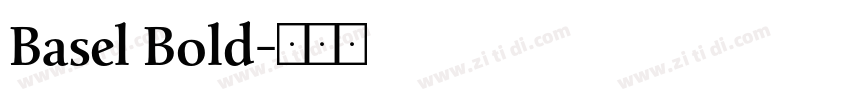 Basel Bold字体转换